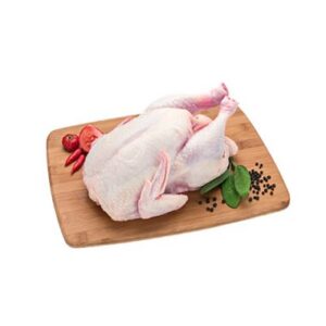 GALINHA MATRIZ CONG KG