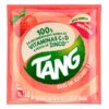 REFRESCO TANG TANGERINA 18GR