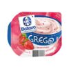 IOGURTE GREGO TRAD 100g