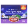 CHA CHILENO FRU VERM MOR UVA STEVIA 22,5